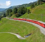 Your 2025 allocation of FIP coupons