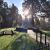 Connecting memory, nature and community
Brookwood