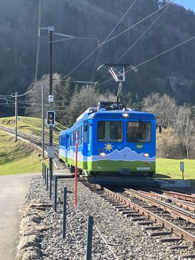 Rigi railway train. Copyright Peter Lovegrove.