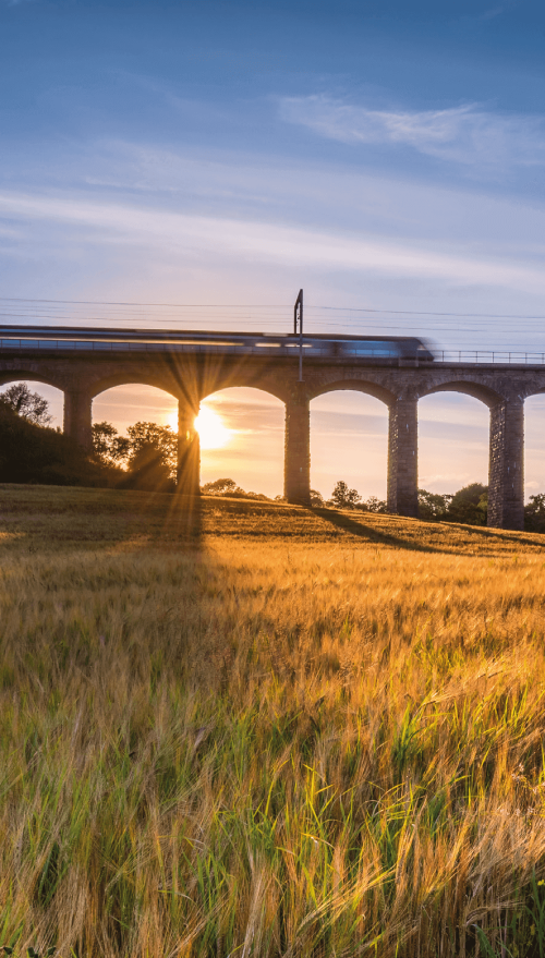 Train travelling over a viaduct